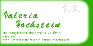valeria hochstein business card