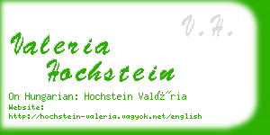 valeria hochstein business card